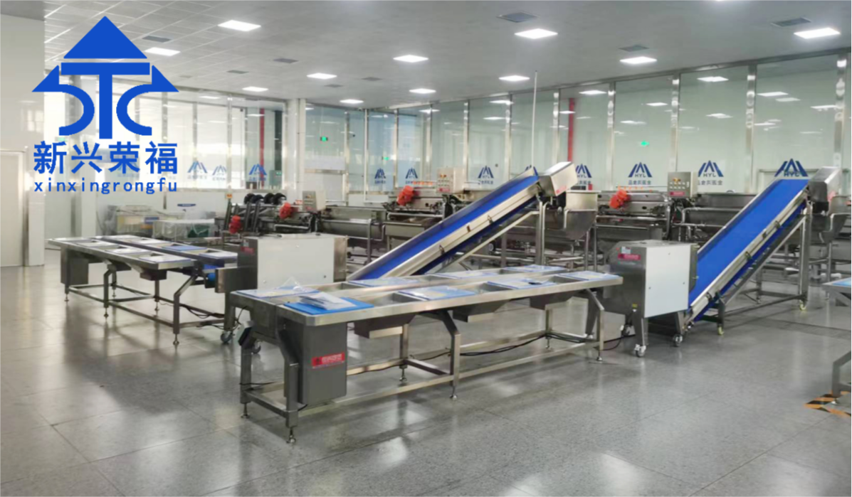 日供蔬菜20噸,新興榮福承建凈菜加工項(xiàng)目完成驗(yàn)收